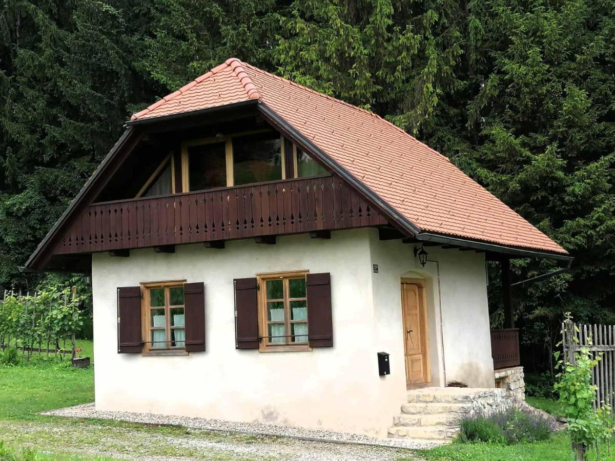 Holiday House Apartment Voukov Mlin Smarje pri Jelsah Zewnętrze zdjęcie