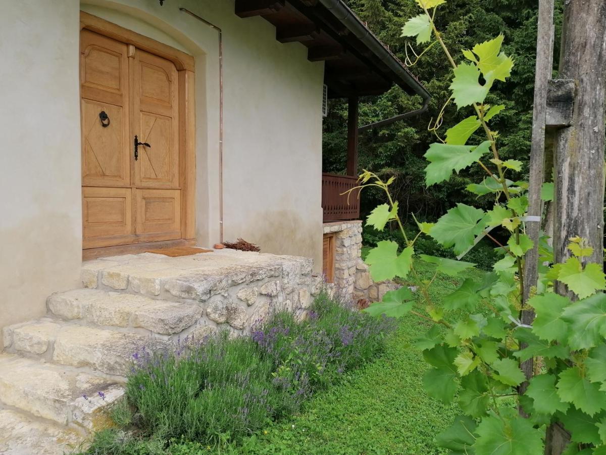 Holiday House Apartment Voukov Mlin Smarje pri Jelsah Zewnętrze zdjęcie