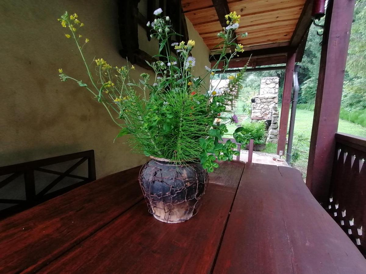 Holiday House Apartment Voukov Mlin Smarje pri Jelsah Zewnętrze zdjęcie