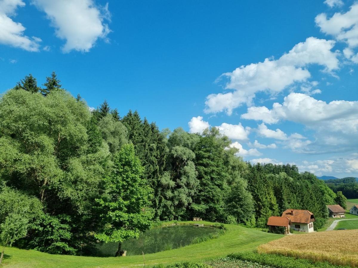 Holiday House Apartment Voukov Mlin Smarje pri Jelsah Zewnętrze zdjęcie